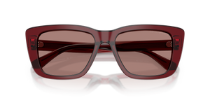Shiny Transparent Bordeaux / Light Brown (625473)