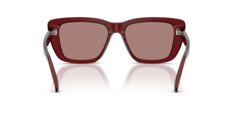 Emporio Armani EA4246U in Shiny Transparent Bordeaux - Alternate View