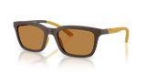 Matte Brown / Light Brown (625893)