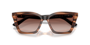 Shiny Striped Brown / Gradient Brown (626613)