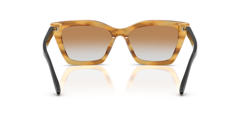 Emporio Armani EA4250U in Shiny Striped Honey - Alternate View