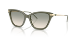Shiny Opal Green / Brown Gradient Light Green (62642C)