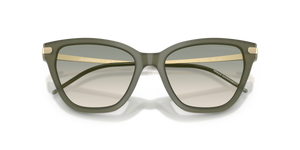 Shiny Opal Green / Brown Gradient Light Green (62642C)