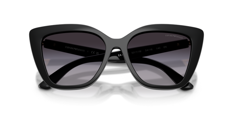Emporio Armani EA4254U in Shiny Black - Alternate View