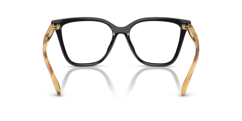 Emporio Armani EA4254U in Shiny Black - Alternate View