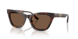 Shiny Havana / Brown (502673)
