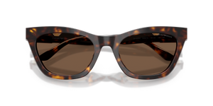 Shiny Havana / Brown (502673)