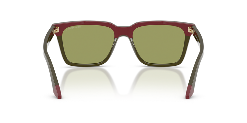 Emporio Armani EA4260 in Opaline Green/Bordeaux / Green (63162A) - Alternate View