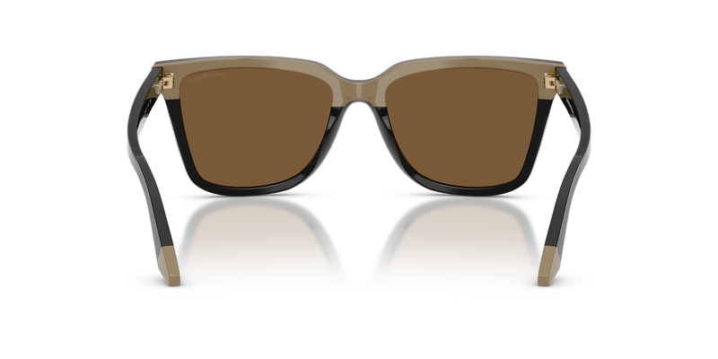 Emporio Armani EA4261F in Black/Beige - Temple Detail