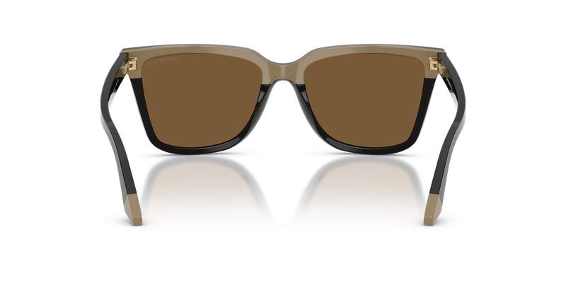 Emporio Armani EA4261 in Black/Beige / Brown (631373) - Temple Detail