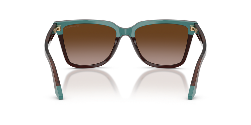 Emporio Armani EA4261 in Transparent Brown/Teal / Brown Gradient (631813) - Alternate View