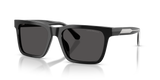 Shiny Black / Dark Grey (501787)