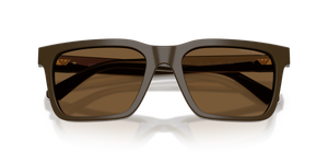 Shiny Brown / Brown (630773)