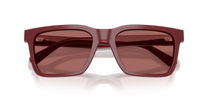 Shiny Bordeaux / Dark Violet (632269)