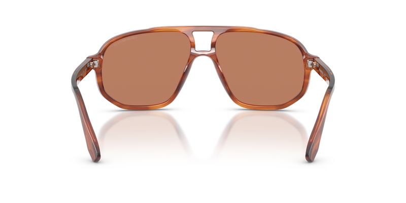 Emporio Armani EA4263U in Striped Dark Brown - Alternate View