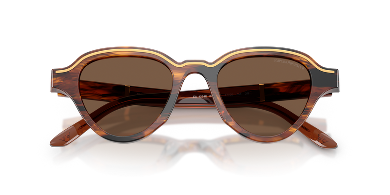 Emporio Armani EA4264U in Striped Dark Brown - Alternate View