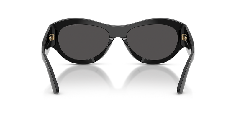 Emporio Armani EA4265U in Crystal/Cola/Lime / Dark Grey (501787) - Temple Detail