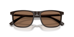 Shiny Brown / Dark Brown (645273)