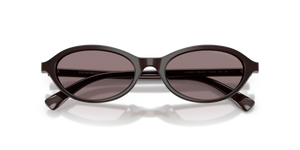 Shiny Opal Brown / Dark Purple (64547N)