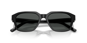 Shiny Black / Dark Grey (501787)
