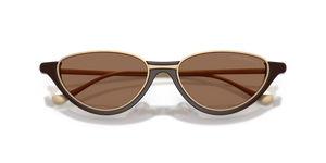 Shiny Brown / Dark Brown (645873)