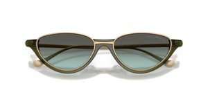 Shiny Transparent Green / Green Gradient Green (65002A)