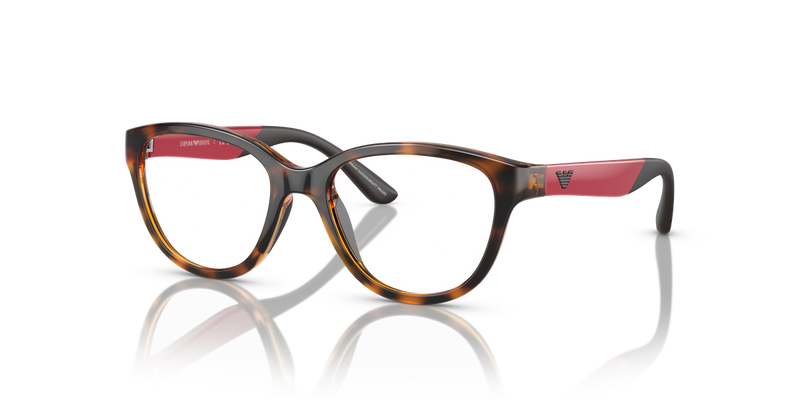 Emporio Armani Kids 0EK3002 in Shiny Havana - Front View
