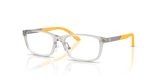 Transparent Grey / Demo Lens (6279)