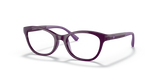Shiny Violet / Demo Lens (5115)