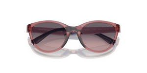 Shiny Transparent Lillac / Pink Gradient Grey (537646)