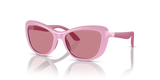 Shiny Pink / Dark Violet (613069)