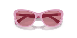 Shiny Pink / Dark Violet (613069)