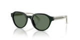 Shiny Green / Dark Green (638182)