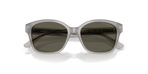 Shiny Opal Grey / Dark Brown (638693)
