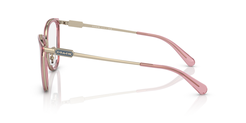 Coach HC5146 in Transparent Pink / Demo Lens (9416) - Back View