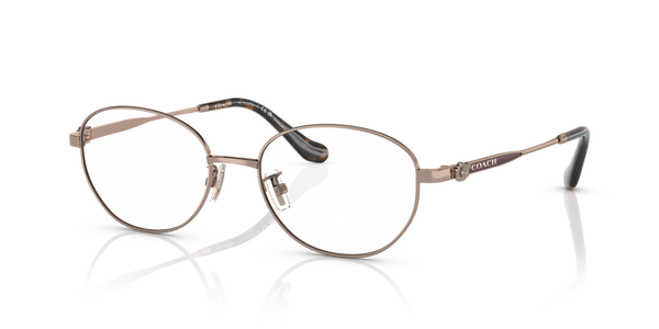 Coach HC5153TD