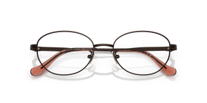 Shiny Brown / Demo Lens (9422)