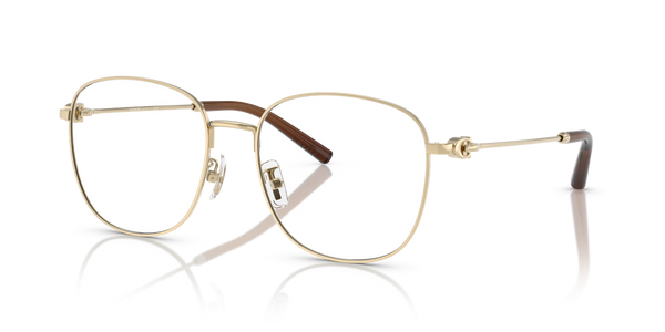 Coach HC5179D