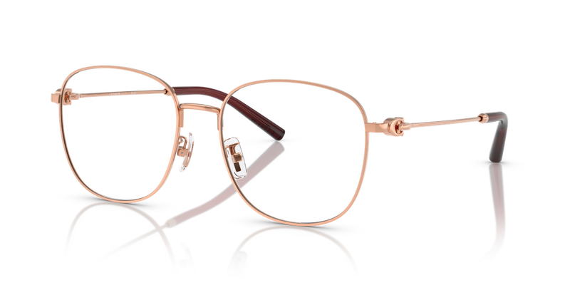 Coach HC5179D in Shiny Rose Gold / Demo Lens (9331) - Alternate View