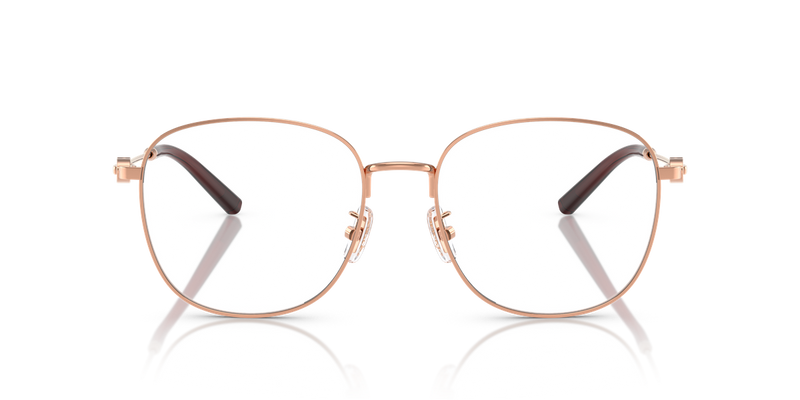 Coach HC5179D in Shiny Rose Gold / Demo Lens (9331) - Alternate View
