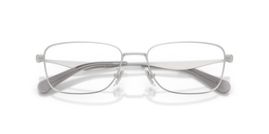 Satin Silver / Demo Lens (9001)