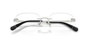 Shiny Silver / Demo Lens (9001)