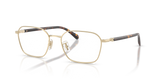 Shiny Light Gold / Demo Lens (9005)
