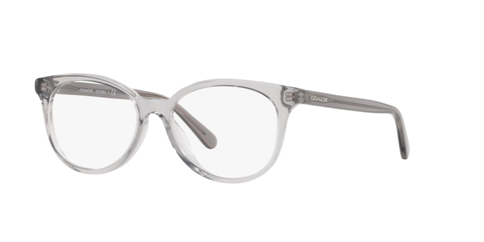 Coach HC6138U in Transparent Grey / Demo Lens (5176) - Front View
