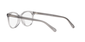 Transparent Grey / Demo Lens (5176)