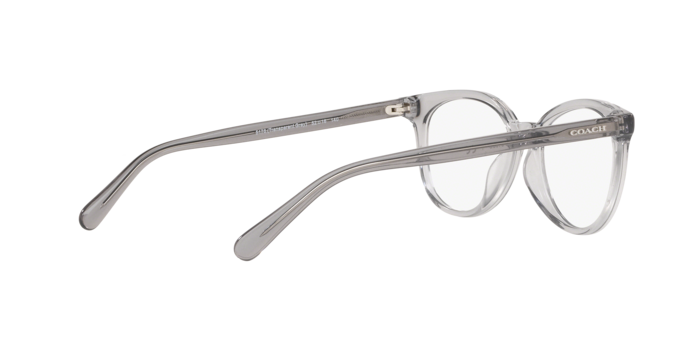 Coach HC6138U in Transparent Grey / Demo Lens (5176) - Temple Detail