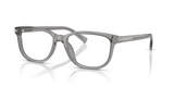 Transparent Grey / Demo Lens (5849)