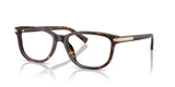 Dark Tortoise / Demo Lens (5893)