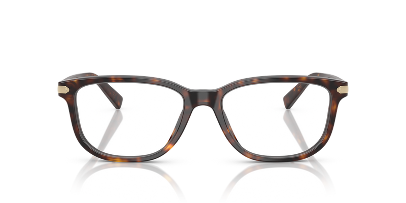 Coach C2102 in Dark Tortoise / Demo Lens (5893) - Alternate View