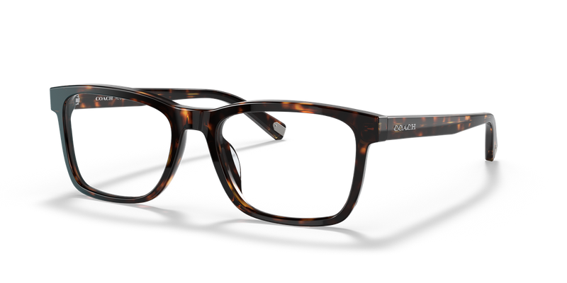 Coach C2104 in Dark Tortoise / Demo Lens (5120) - Alternate View